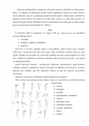 www.speros.lt